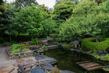 Fototapeta na wymiar Japanese traditional garden with pond in forest