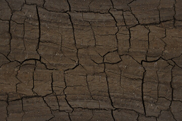 Dry cracked earth