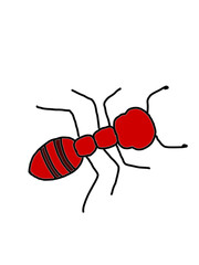 red ant