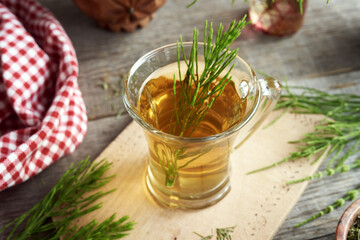 A glass cup of horsetail tea with fresh Equisetum plant