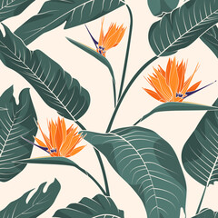 Tropical leaves strelitzia or bird of paradise flower on baige background. Vector seamless pattern. Jungle foliage illustration. Exotic plants. Summer beach floral design. Paradise nature - 607414795