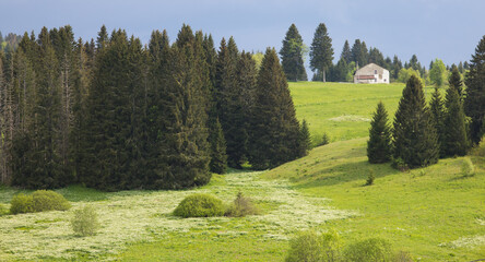 Paysage des Hautes Combes le long du lac de l'Embouteilleux , un espace montagneux situé dans le...