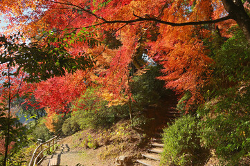 紅葉期の大興善寺「契園」