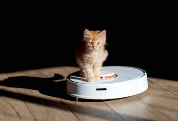ginger kitten sitting on robotic vacuum cleaner. White vacuum cleaner is working on the floor