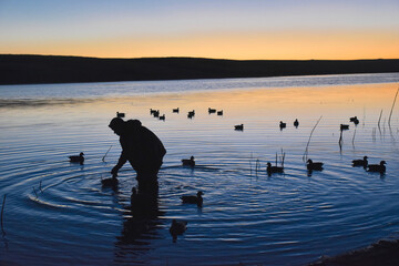 A waterfowl hunter setting decoys at sunrise