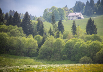 Paysage des Hautes Combes le long du lac de l'Embouteilleux , un espace montagneux situé dans le...