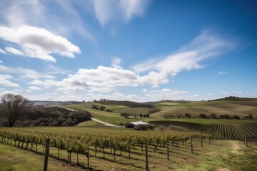 Fototapeta na wymiar vineyard with rolling hills and blue skies, ideal for photo shoot, created with generative ai