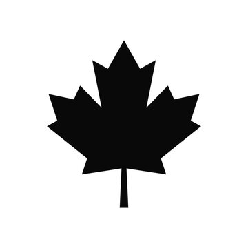 Silhouette of Maple Leaf Canadian Logo