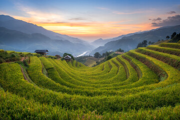 Rice fields on terraced of mu cang chai,  rice fields prepare the harvest at northwest vietnam...