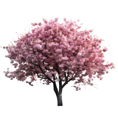 Pink cherry blossom tree isolated on transparent background, Blooming tree in Spring PNG, Generative AI