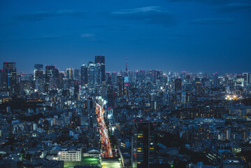 Tokyo night view with Tokyo Tower