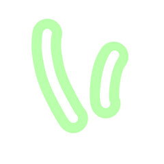 Hand-drawn Cute green line, shape, strokes, curve, Decoration and elements design in doodle style