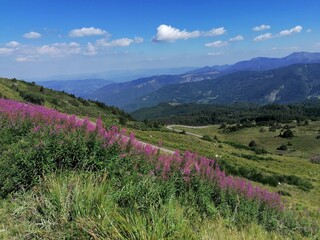 Obraz premium paesaggio montano