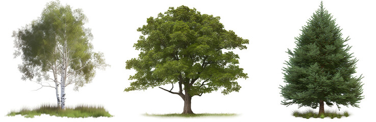 Fototapeta premium Collection of trees isolated on transparent background, Generative Ai