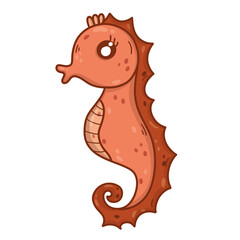 seahorse illustration