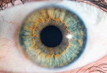 Close up of  human eye. Macro eye.