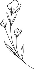 flower and leaf botanical line art and doodle illustration.