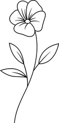 flower and leaf botanical line art and doodle illustration.