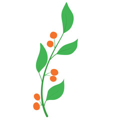 Simple flat flower stem with orange round  berries and green leaves