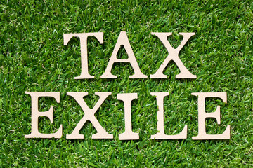 Wood alphabet letter in word tax exile on artificial green grass background