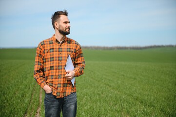 A young farmer inspects the quality of wheat sprouts in the field. The concept of agriculture