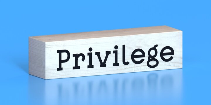 Privilege - word on wooden block - 3D illustration