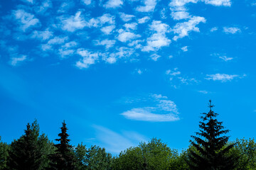 light white clouds on bright blue blue sky in summer