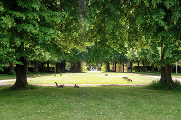 Südpark in Düsseldorf