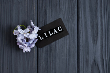 A wooden gray background on which lie branches of fragrant purple lilac