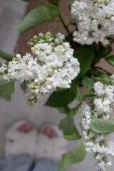 Fresh fragrant lilac flowers in the home interior