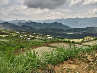North Vietnam rice terraces with mountains Ha Giang Loop