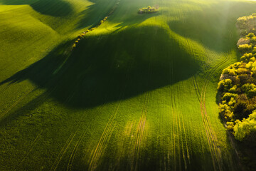 Green spring fields in South Moravia seen from the drone.
