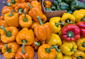 Assorted, Yellow, red, orange, and green bell peppers 