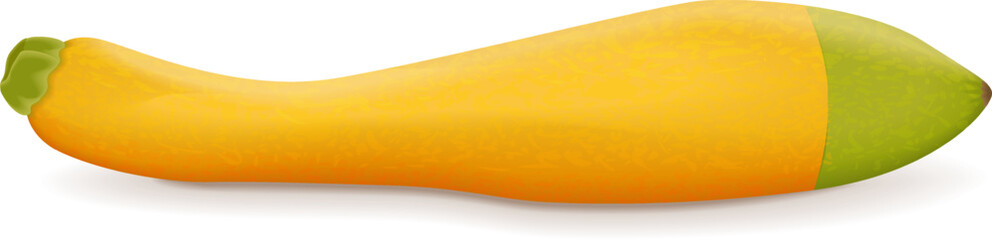 Obraz premium Zephyr Squash. Summer squash. Cucurbita pepo. Fresh, organic, raw fruits and vegetables. Vector illustration isolated on white background.