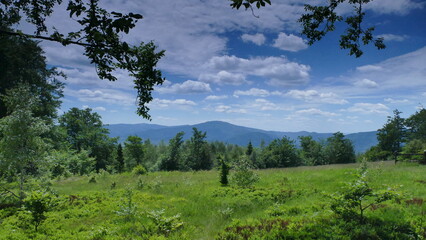 Lato z widokiem na wierzchołek góry