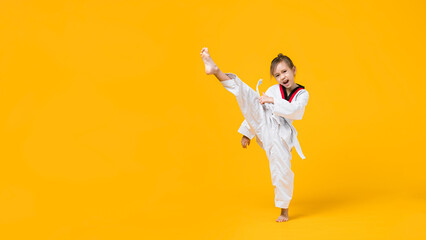 Banner: Asian-Australian girl poses in martial arts Practice taekwondo, karate, judo against a...