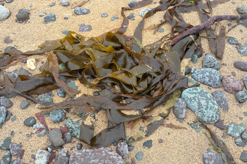 Sea landscape of the west part of Iceland