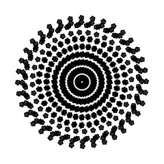 Black and white circle line illustration no. 50
