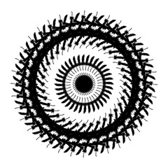 Black and white circle line illustration no. 27