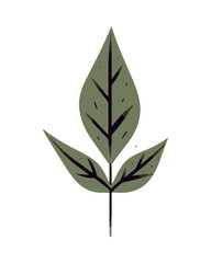 Fototapeta na wymiar Green leaves symbolize growth and nature beauty