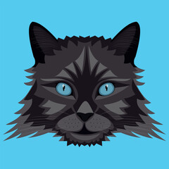 Isolated image of a muzzle of a black cat on a blue background