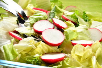 Fresh green salad with radishes.