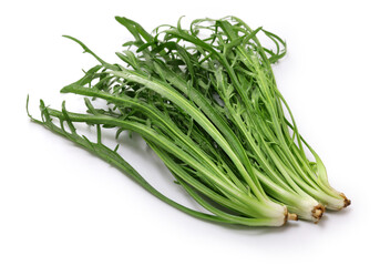 Erba Stella, Buck's Horn, Italian vegetable