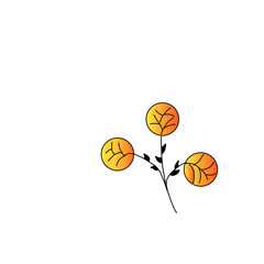 Flowers on white background 