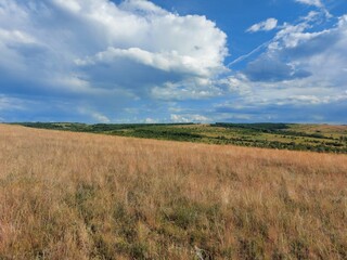 Obraz premium field and sky