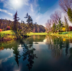 Splendid spring view of wooden pier on the lake. Sunny morning scene of shore of small pond....