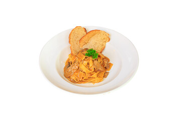 Plate with tasty beef stroganoff and pasta