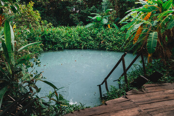 Fervedouros are hot spring waters of high density, making it easier to float in the water. A major Jalapao attraction