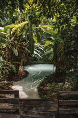 Fervedouros are hot spring waters of high density, making it easier to float in the water. A major Jalapao attraction