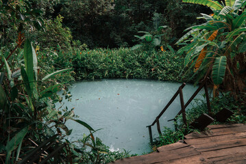 Fervedouros are hot spring waters of high density, making it easier to float in the water. A major...